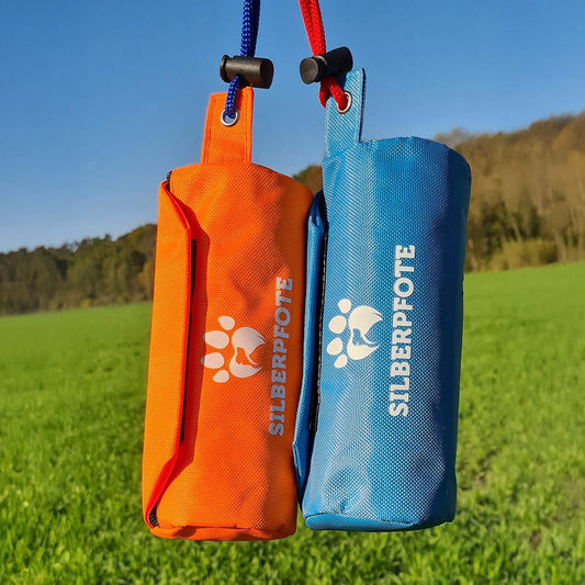 Dem Hund das Apportieren beibringen