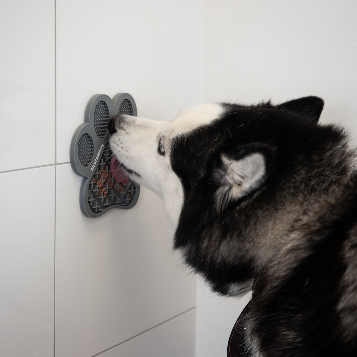Leckpad "PFOTE" - Silikon-Leckpad für Hunde – Für entspanntes Schlecken & konzentriertes Fressen