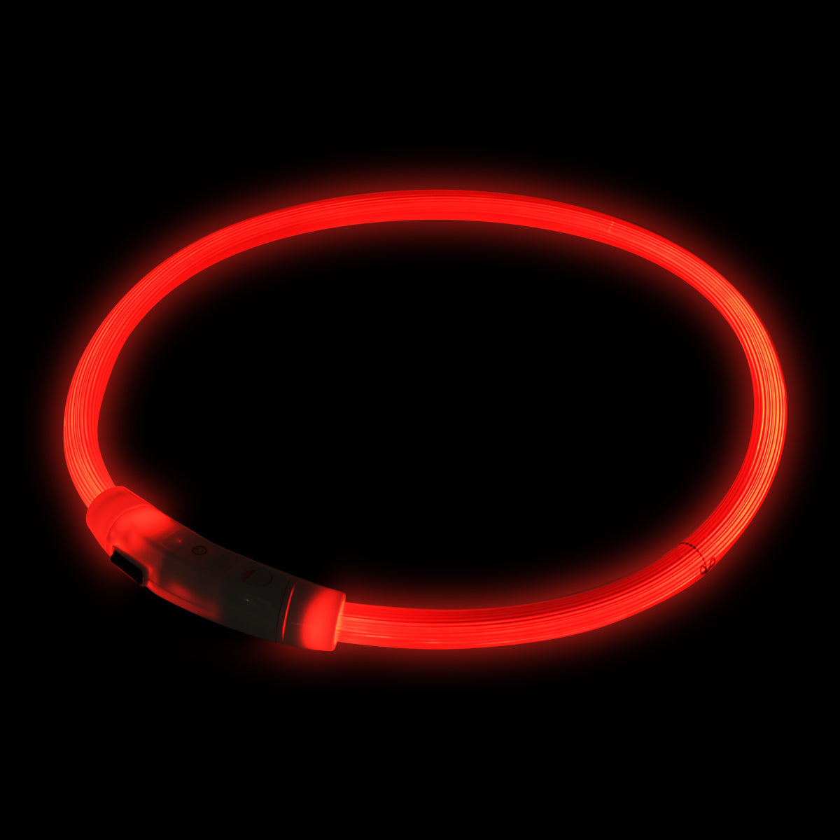 Leuchtendes Halsband Größenanpassbar