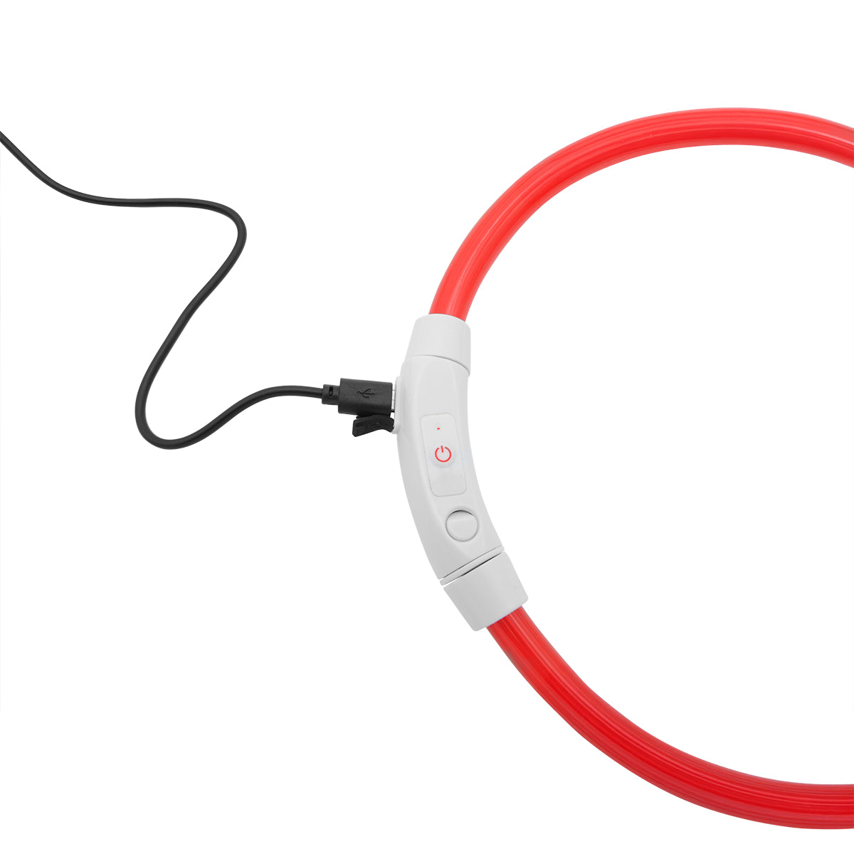 Leuchtendes Halsband Größenanpassbar