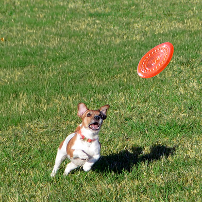 Hochwertige TPR-Wurfscheibe für Hunde – sicher, flexibel & schwimmfähig