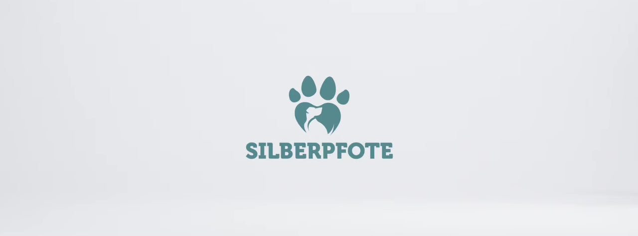 Titelvideo Silberpfote