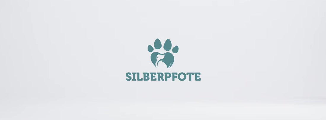 Titelvideo Silberpfote